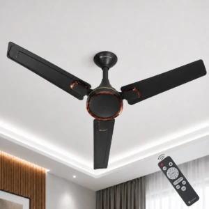 Aapanam Vixa Onyx Black BLDC ceiling fan with RF remote 1200mm 5 year warranty
